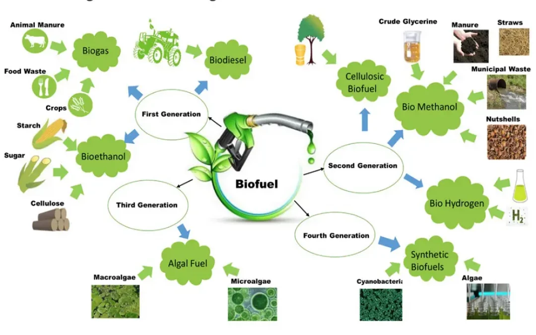 Benefits And Drawbacks Of Ethanol Biofuel